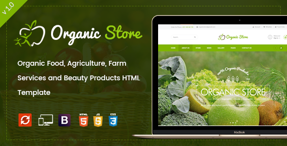 best wordpress themes