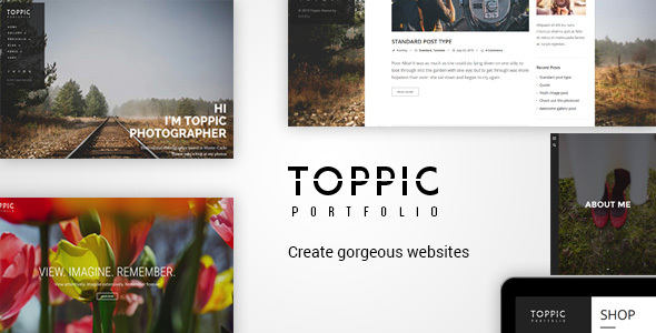 best wordpress themes